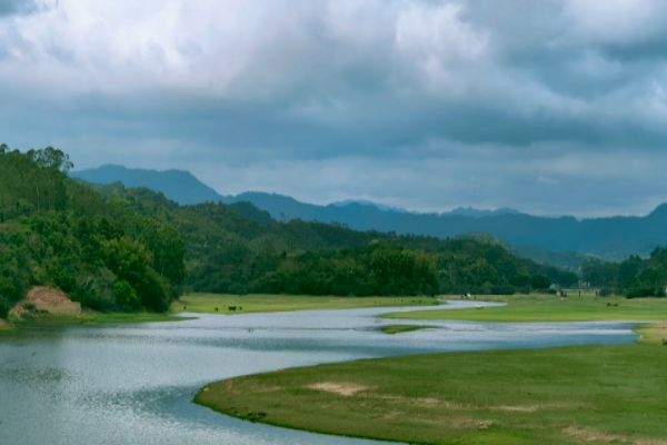 電影同款，跟著《長安的荔枝》到陽江旅游