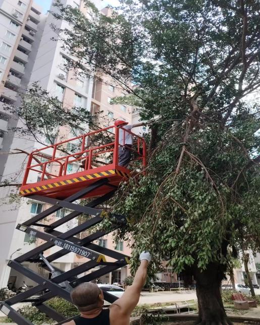 全力推進(jìn)公租房臺(tái)風(fēng)災(zāi)后復(fù)產(chǎn).docx_5