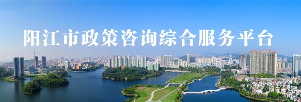 陽江市政策咨詢綜合服務平臺